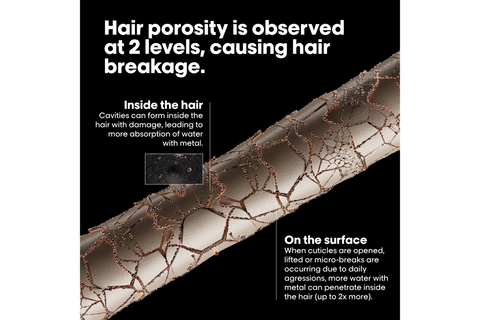 L'Oreal Professionnel Metal Detox pre-shampoo